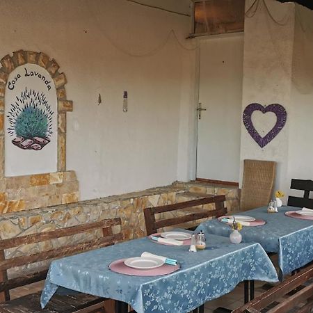 Casa Lavanda - Karin Gornji Gornji Karin Dış mekan fotoğraf