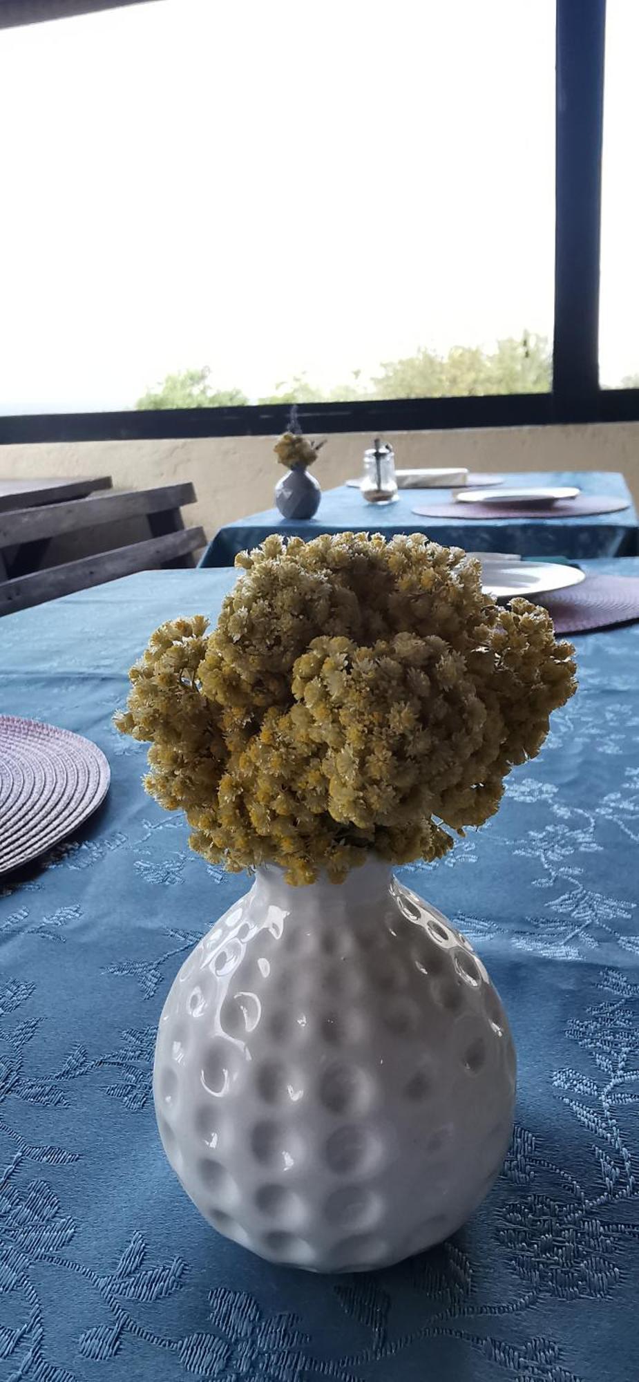 Casa Lavanda - Karin Gornji Gornji Karin Dış mekan fotoğraf
